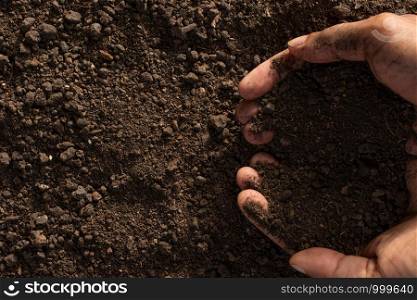 Soil for growing plants.
