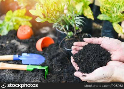soil in hand for planting flower in the garden / growing plant works of gardening tool plant at back yard