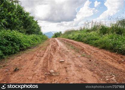 soil road in forest landscape
