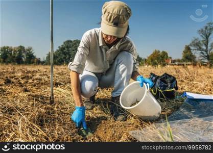 Soil S&ling Process. Woman agronomist taking soil s&le for fertility analysis. Environmental research