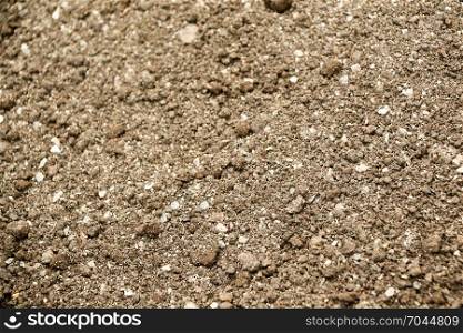Soil surface as a background texture