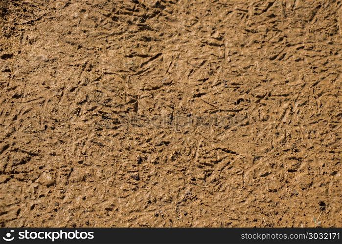 Soil surface as a background texture . Soil surface as a background texture