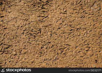 Soil surface as a background texture . Soil surface as a background texture