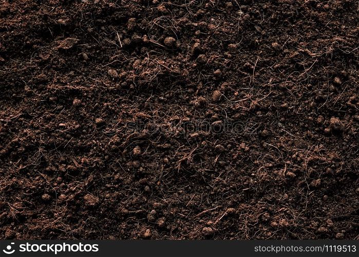 Soil texture background, Fertile loam soil suitable for planting.