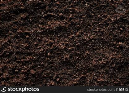 Soil texture background, Fertile loam soil suitable for planting.