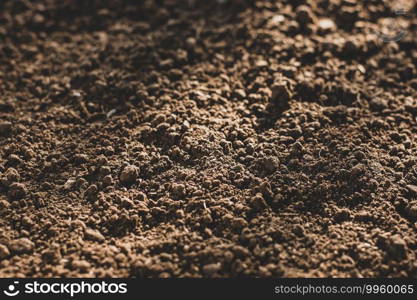 Soil texture background, Fertile soil for planting.