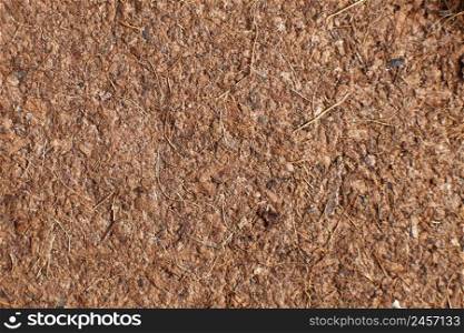 soil texture close up. Ground nature background.. soil texture close up. Ground nature background