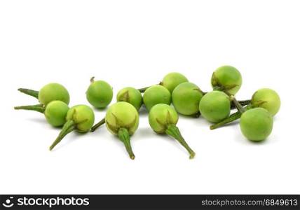 Solanum indicum, thai food ingradient