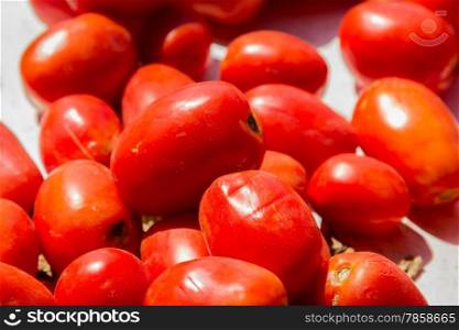 Solanum lycopersicum Fresh red and green tomatoes