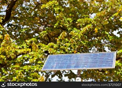solar battery panel and tree in autumn day