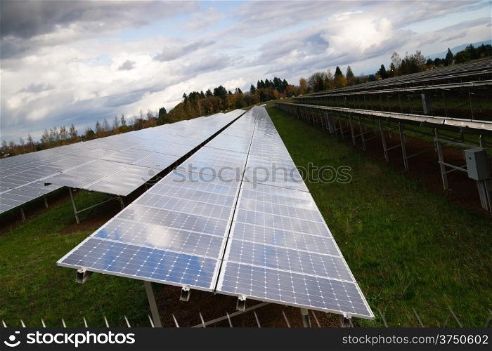 Solar energy is gaining popularity and a sun farm is shown here