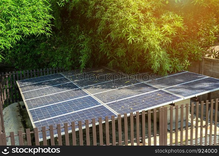 Solar panel in Green tree on natural background, Alternative energy concept and Clean energy.