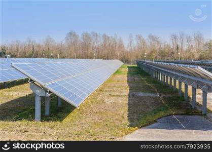 Solar panels to produce energy in an environmentally friendly manner
