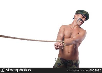 Soldier isolated on the white background