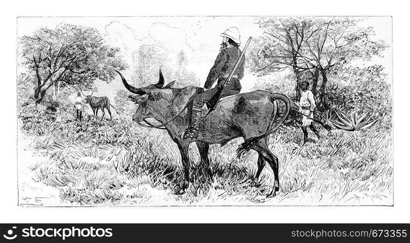 Soldier Riding a Buffalo in Angola, Southern Africa, drawing by Ferdinandus based on a sketch by Serpa Pinto, vintage engraved illustration. Le Tour du Monde, Travel Journal, 1881