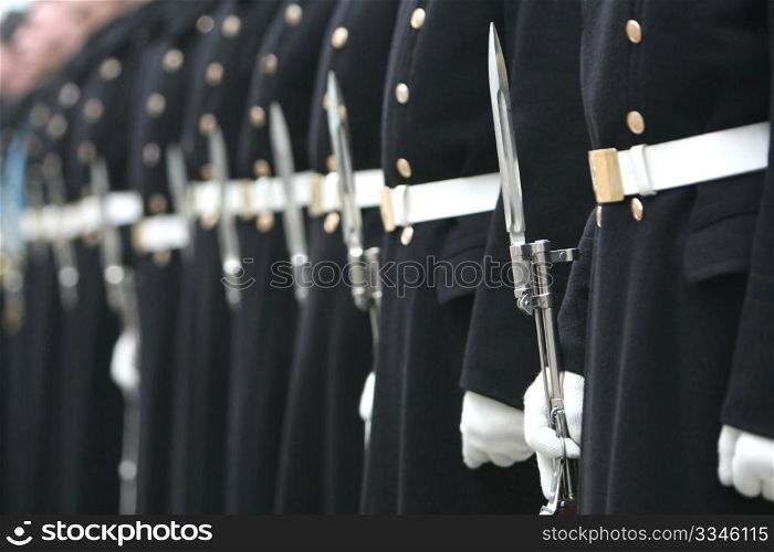 soldiers of honoured household troops