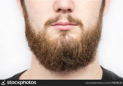 Solid man with beard and mustache. Closeup portrait of athletic bearded man. Handsome stylish bearded man. Sexy male, macho, long beard. Attractive caucasian bearded hipster. isolated. Solid man with beard and mustache. Closeup portrait of athletic bearded man. Handsome stylish bearded man. Sexy male, macho, long beard. Attractive caucasian bearded hipster.