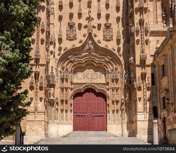 Solid wooden doors on the side entrance to the New Cathedral in Salamanca. Side entrance door to the New Cathedral in Salamanca