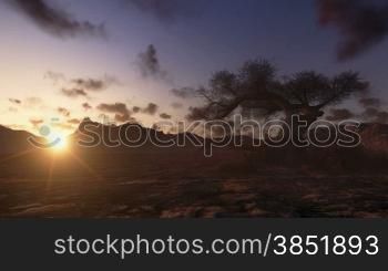 Solitary Tree and Mountain at Sunset, Time Lapse