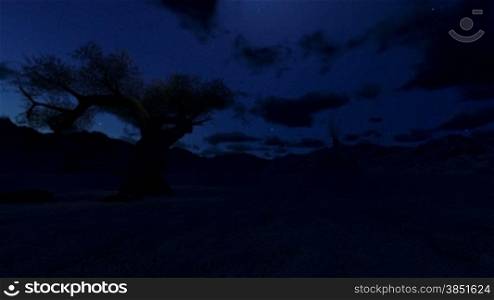 Solitary tree at night, camera panning, timelapse clouds