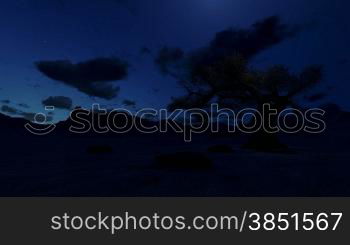 Solitary tree at night surrounded by mountains, timelapse clouds