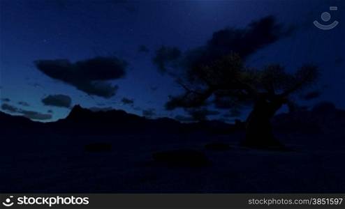 Solitary tree at night surrounded by mountains, timelapse clouds