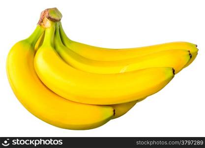 some bananas in a bunch on a white background