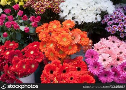 Some bunches of different varieties of colourful flowers on display in a florist shop.