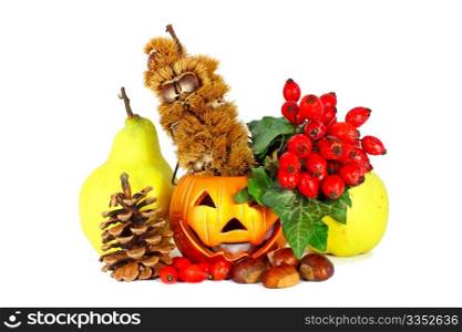 Some colorful autumn fruits with little lamp isolated on white