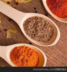 Some dried spices on spoons in the wooden background