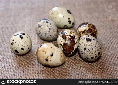 some eggs of the quail on the fabric of sacking