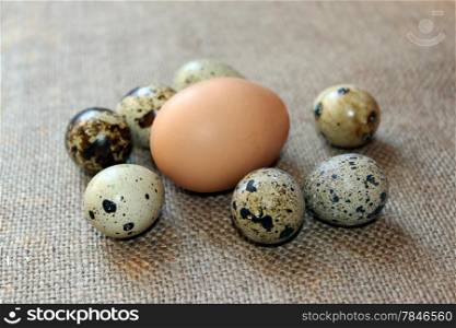 some eggs of the quail on the grey background