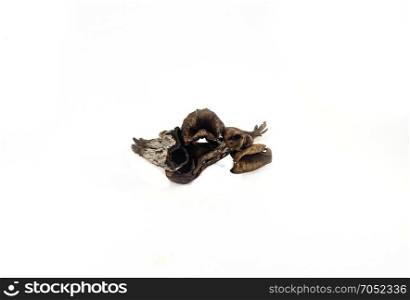 Some mushrooms of the variety . Some mushrooms of the variety of death trumpets on a white background