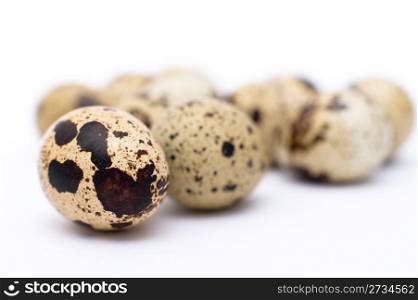 some quail eggs, a super macro shot