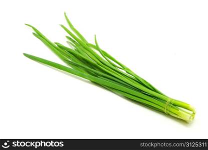 Some spring onion isolated on the white background