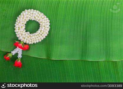 Songkran Festival background with jasmine garland on green banana leaf background