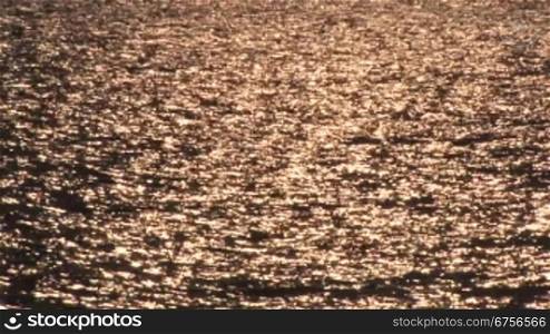 Sonne reflektiert im Gardasee