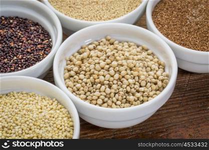 sorghum and other gluten free grains (amaranth, millet, teff quinoa) in small ceramic bowls