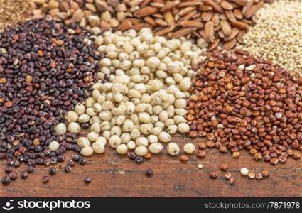 sorghum, red and black quinoa, and other glyuten free grains (millet, brown rice, buckwheat, teff)