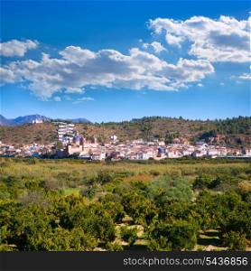 Sot de Ferrer whitewashed village in Valencia Spain