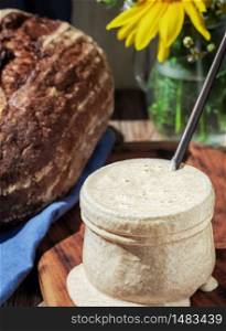 Sourdough for bread, sourdough for making bread at home without sugar. Healthy food concept made from natural products, traditional craft bread, close-up