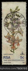 SOUTH AFRICA - CIRCA 1981: A stamp Printed in South Africa of an orchid to commemorate the 10th World Orchid Conference, circa 1981