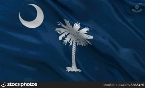 South Carolina Bundesstaat Flagge Endlosschleife