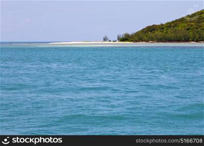 south china sea thailand kho phangan bay coastline of a green lagoon and tree