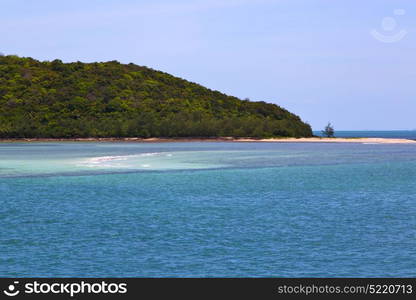 south china sea thailand kho phangan bay coastline of a green lagoon and tree