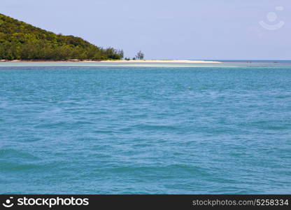 south china sea thailand kho phangan bay coastline of a green lagoon and tree