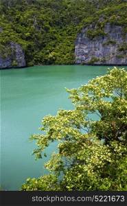 south china sea thailand kho tao bay abstract of a green lagoon and water
