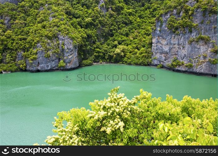 south china sea thailand kho tao bay abstract of a green lagoon and water &#xA;