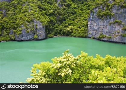 south china sea thailand kho tao bay abstract of a green lagoon and water &#xA;