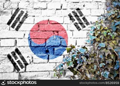 South Korea grunge flag on brick wall with ivy plant, country symbol concept   